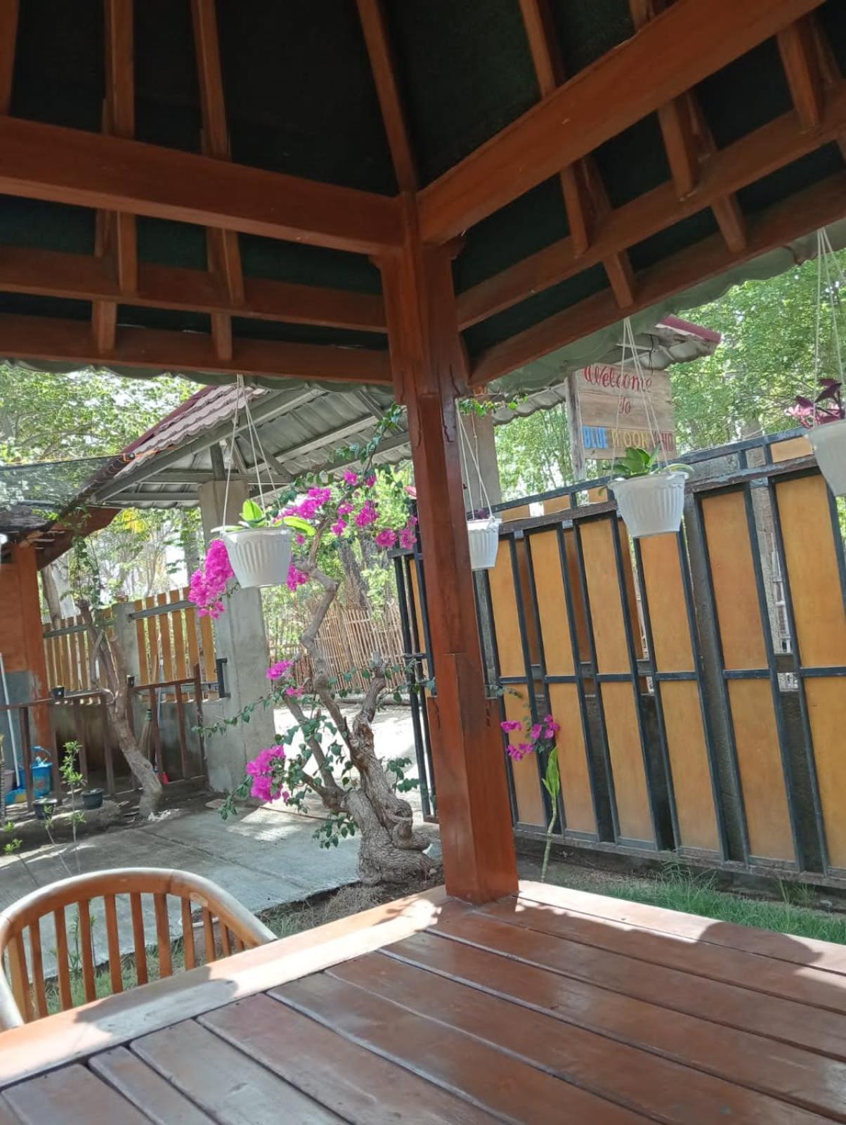 Blue Moon Meno Hotel Gili Meno Eksteriør billede